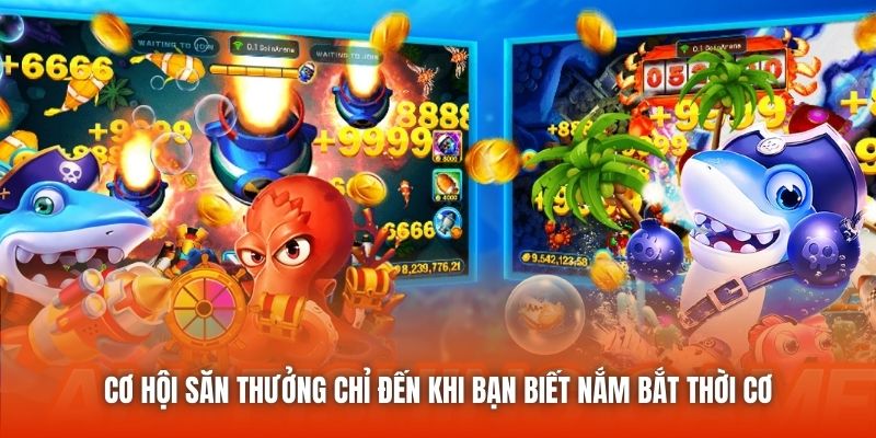 Cơ hội săn thưởng chỉ đến khi bạn biết nắm bắt thời cơ