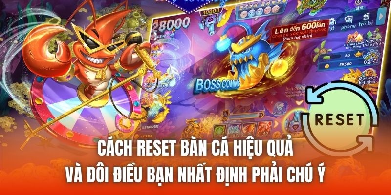Cách reset bàn cá hiệu quả và đôi điều bạn nhất định phải chú ý